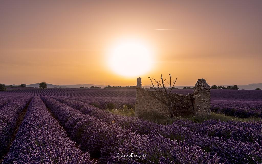 Bed and Breakfast Les Terrasses De Valensole Esterno foto