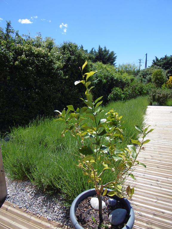 Bed and Breakfast Les Terrasses De Valensole Esterno foto