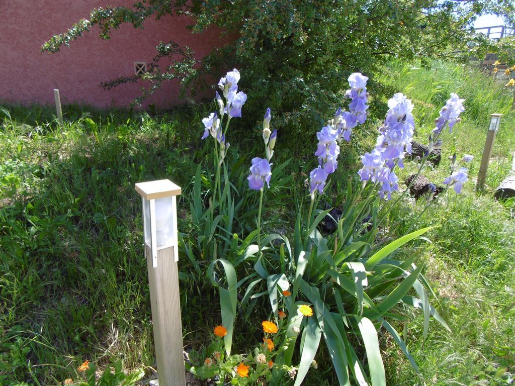 Bed and Breakfast Les Terrasses De Valensole Esterno foto