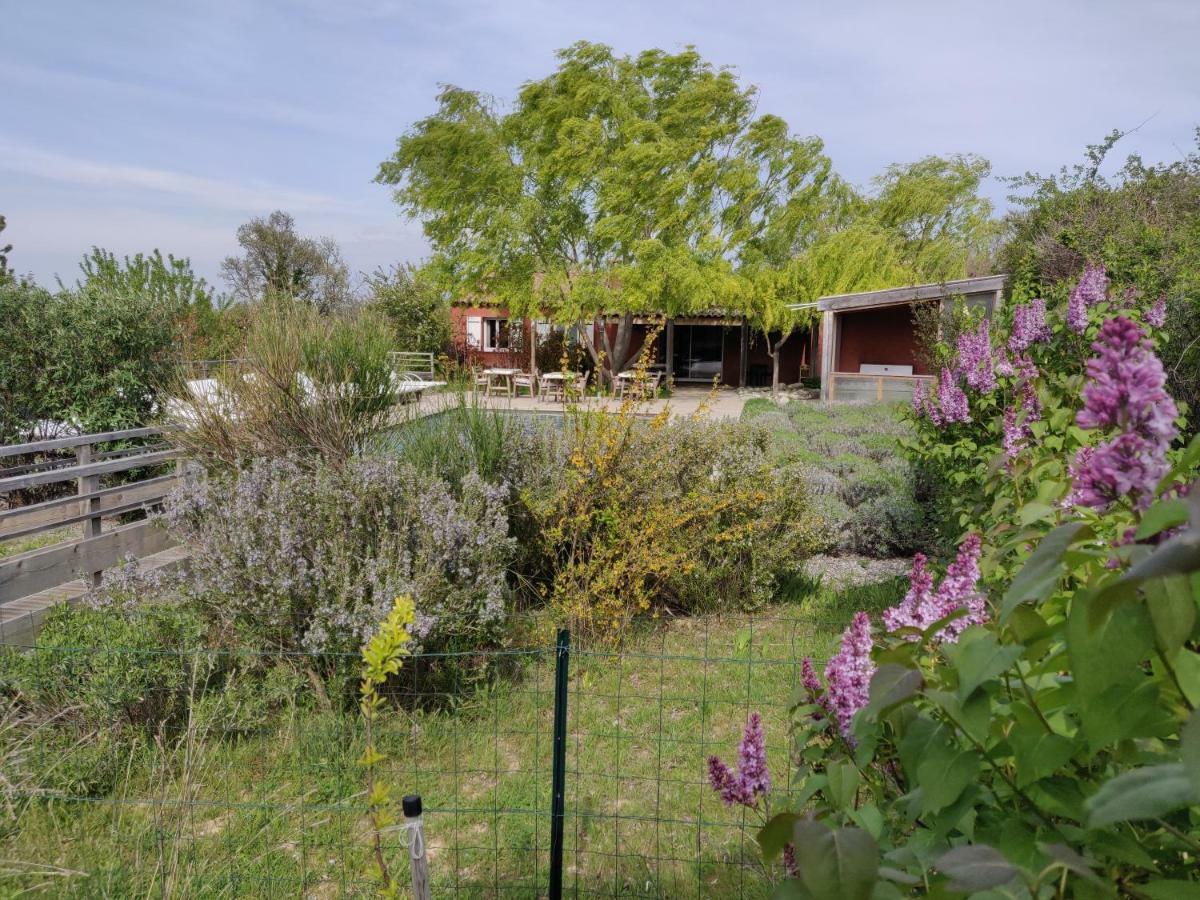 Bed and Breakfast Les Terrasses De Valensole Esterno foto